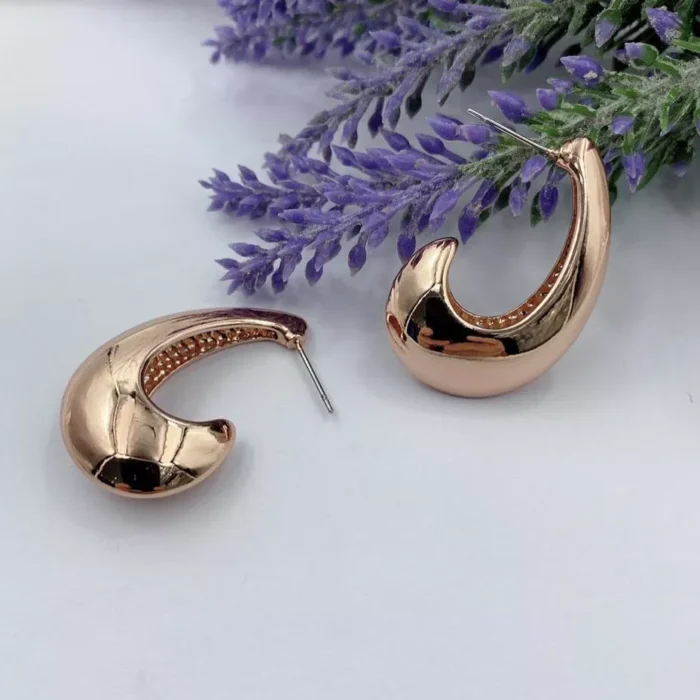 VIENNOIS HARP GOLD SHAPE EARRING