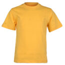 WOOLWORTH YELLOW ROUND NECK COTTON BOYS SHORTSLEEVE T-SHIRT